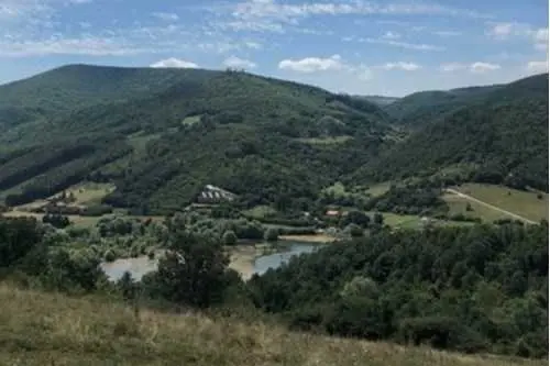 Shitet toka 2 hektarë në Batllavë! tokë në Batllavë