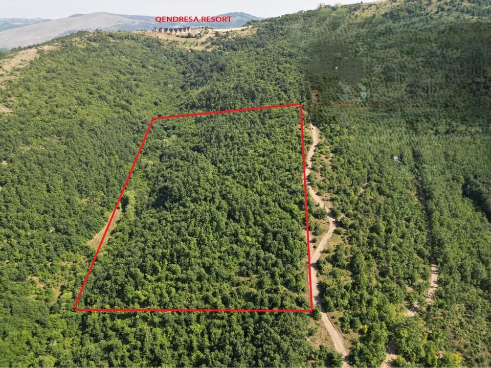 Parcelë në shitje në Novobërdë tokë në Prishtinë