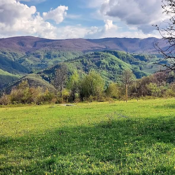 Parcela në #shitje në Jezerc tokë në Ferizaj